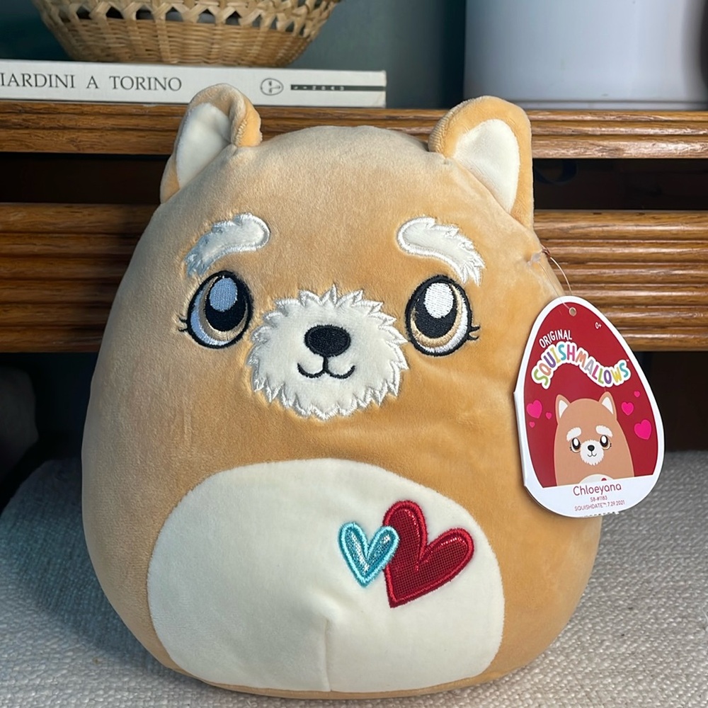 Chloeyana Squishmallow